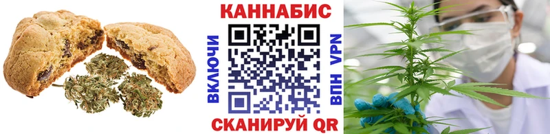 закладка Калач-на-Дону Canna-Cookies конопля
