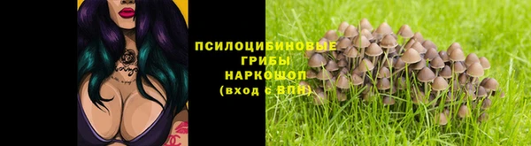 кокс Алексеевка