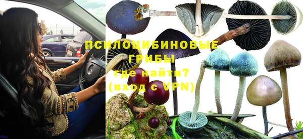 кокс Алексеевка