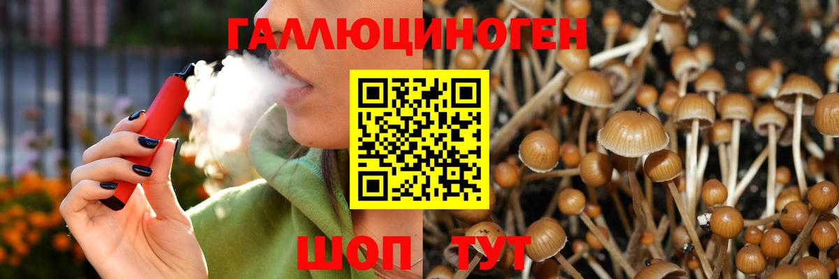 Псилоцибиновые грибы Cubensis Калач-на-Дону