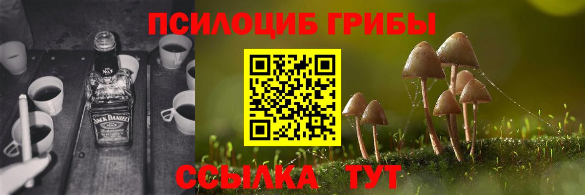 Калач-на-Дону  Псилоцибиновые грибы Psilocybe  Вход с VPN  Галлюциногенные грибы Psilocybine cubensis 